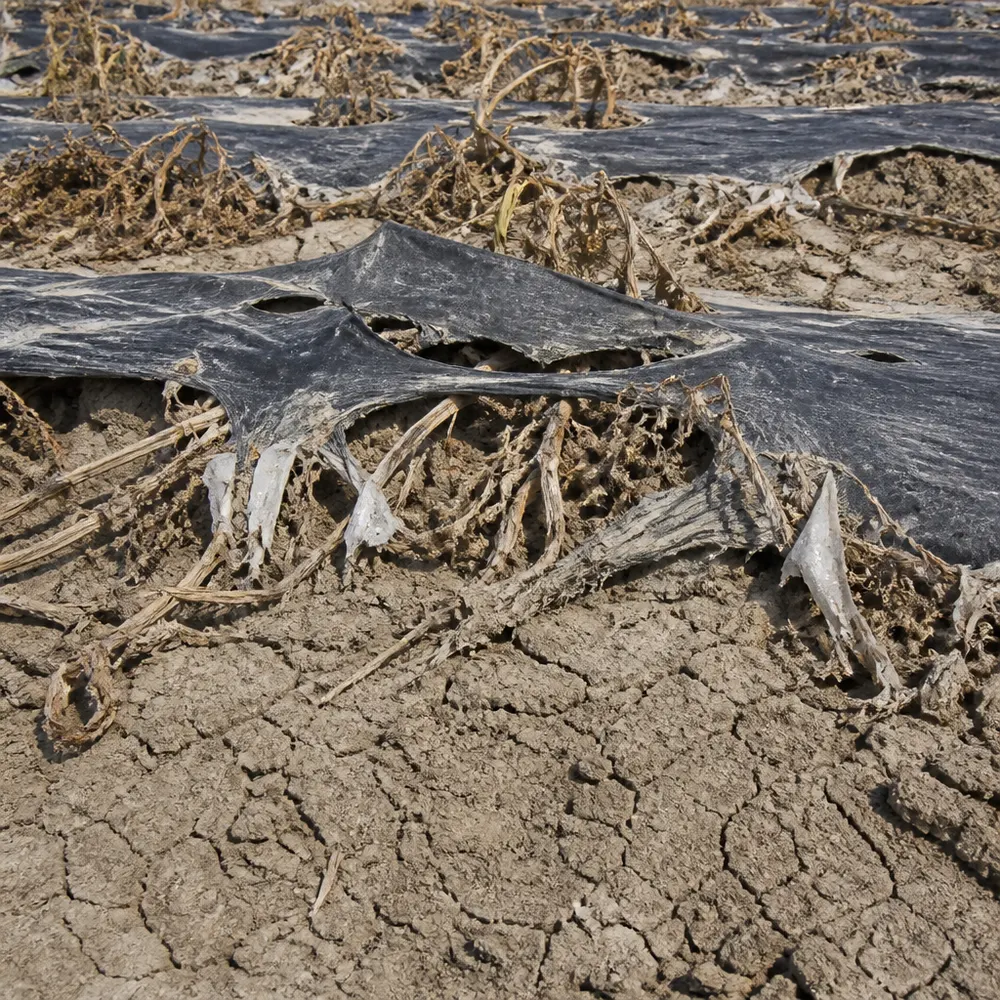 La plastica invisibile dell'agricoltura convenzionale — Agricoltura biologica e riduzione dei rifiuti: come il bio taglia plastica, packaging e sprechi lungo tutta la filiera