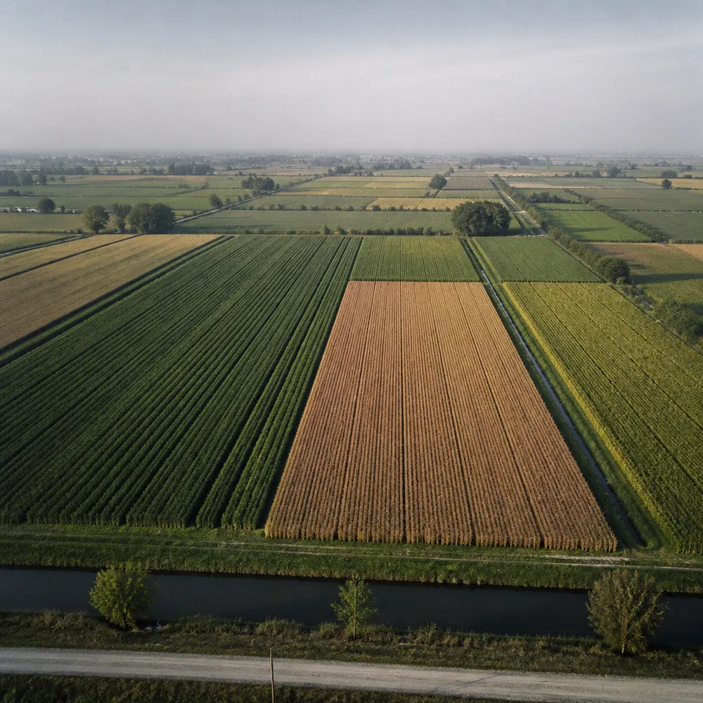 La situazione in Italia: dove il bio fa più differenza — Agricoltura biologica e tutela delle acque sotterranee: come il bio protegge le falde acquifere italiane dall'inquinamento