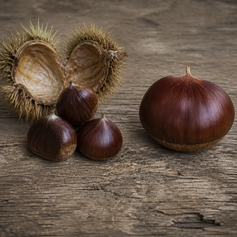 Castagne e marroni: differenze che contano nella scelta — Castagne biologiche: come sceglierle, riconoscere la qualità e gustarle al meglio nella stagione autunnale