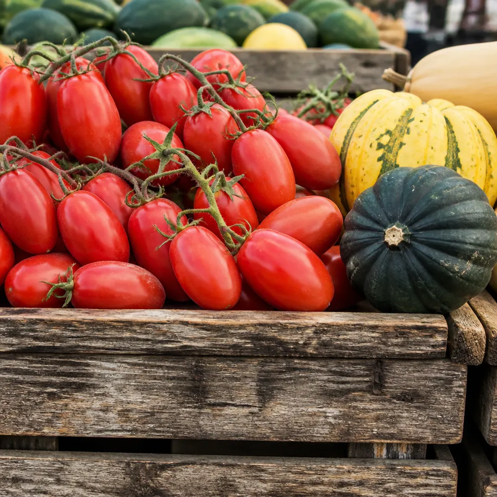 Il cambio di stagione a tavola: cosa cambia tra agosto e settembre nel biologico — Come organizzare la dispensa biologica per settembre: cosa comprare adesso dal produttore per affrontare il cambio di stagione