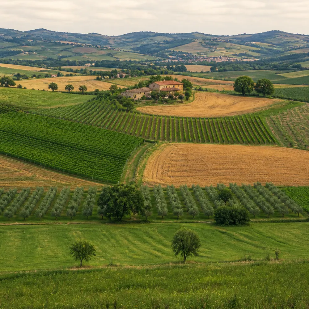 Il ruolo delle Regioni nella disciplina della vendita diretta bio — Biologico e vendita diretta in azienda: cosa dice la legge italiana su acquisti dal produttore