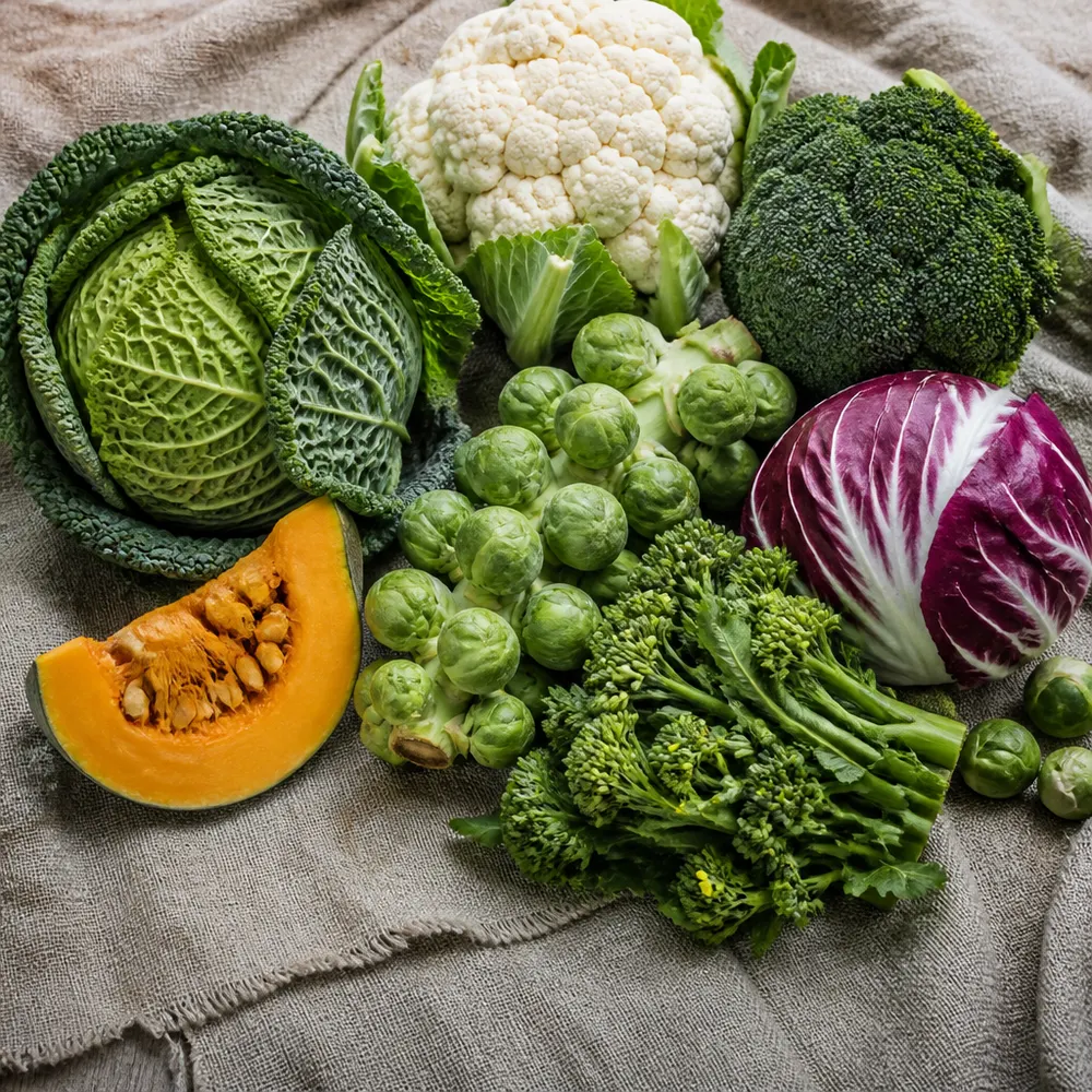 Quali verdure di stagione mangiare a novembre — Verdura di stagione a novembre: cosa mangiare, come sceglierla e conservarla