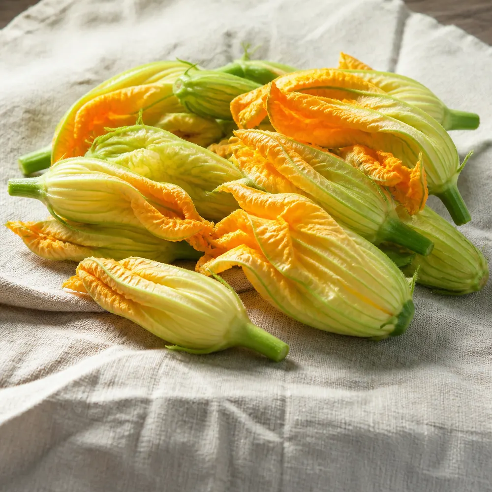 I fiori di zucca biologici: il bonus di agosto — Zucchine biologiche di fine agosto: varietà tardive, proprietà e ricette per sfruttarle al meglio prima dell'autunno